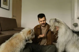 borzoi - PetTrainGuide