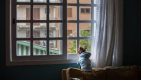 Back view of adorable Yorkshire Terrier dog in bathrobe sitting on sofa headboard and looking out lattice window at home