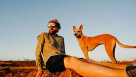 basenji - PetTrainGuide
