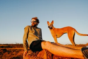 basenji - PetTrainGuide