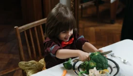 can dogs eat broccoli - PetTrainGuide