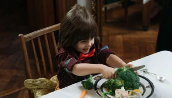 can dogs eat broccoli - PetTrainGuide