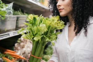 can dogs eat celery - PetTrainGuide