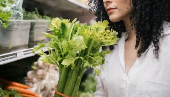 can dogs eat celery - PetTrainGuide
