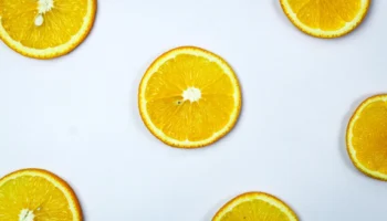 can dogs eat oranges - PetTrainGuide