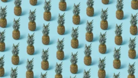 can dogs eat pineapple - PetTrainGuide