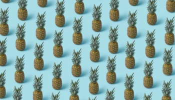 can dogs eat pineapple - PetTrainGuide