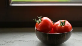 can dogs eat tomatoes - PetTrainGuide
