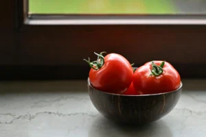 can dogs eat tomatoes - PetTrainGuide