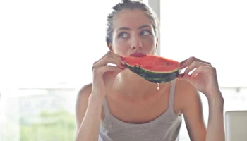 can dogs have watermelon - PetTrainGuide